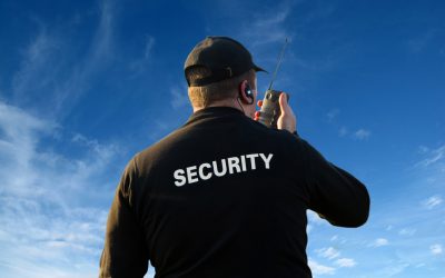 Guard Elite D&L Din Arad – Angajează Agent De Securitate